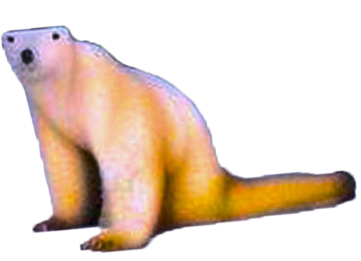 Polar Bear
